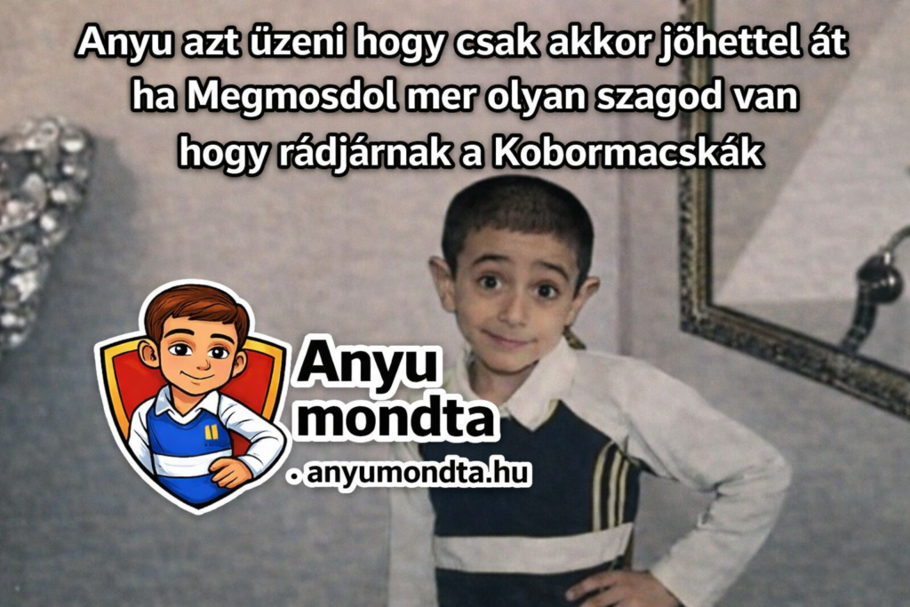 Humoros Anyu azt üzeni mém egy kisfiúval és csattanós szöveggel